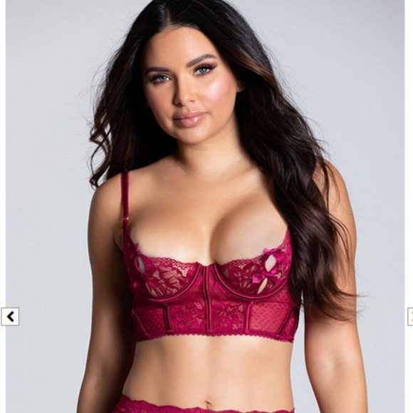 NWOT| Yandy On Point Mesh and Lace Bra and garter Set - Picture 1 of 3